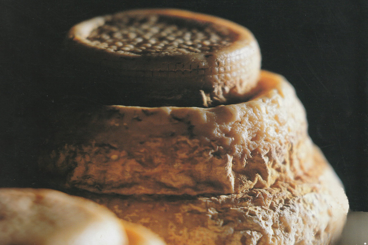 Montebore, formaggio storico | Caratteristiche, lavorazione e ricette